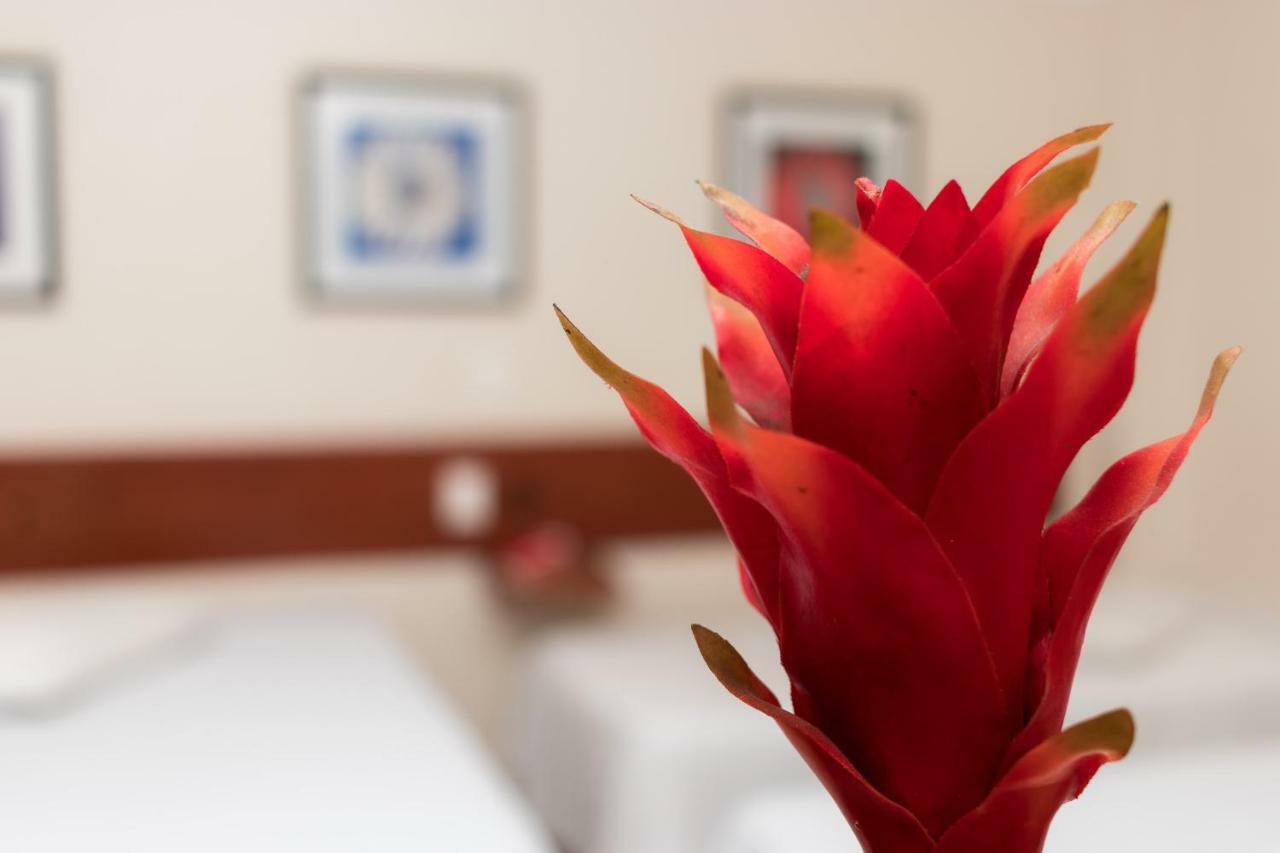 Turis Hotel Centro Campo Grande  Dış mekan fotoğraf
